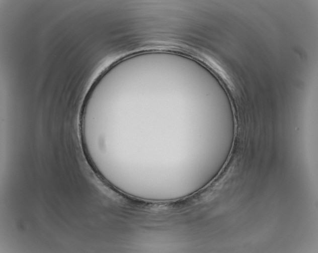 X0000112111283200908041144