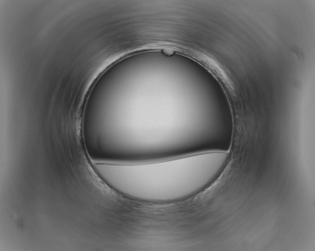 X0000112111284200908041144