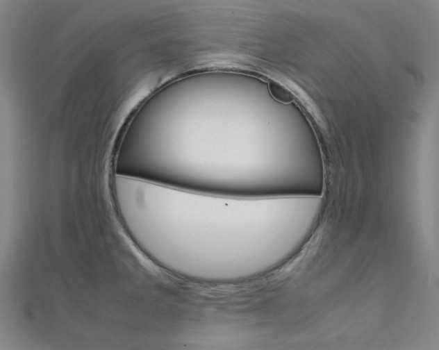 X0000112111285200908041144