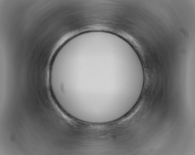 X0000112111286200908041144