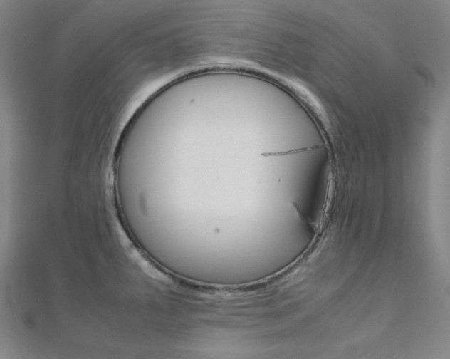 X0000112111287200908041144