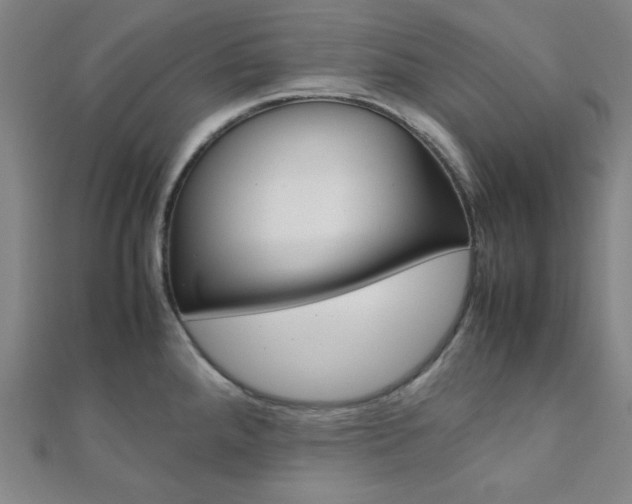X0000112111288200908041144