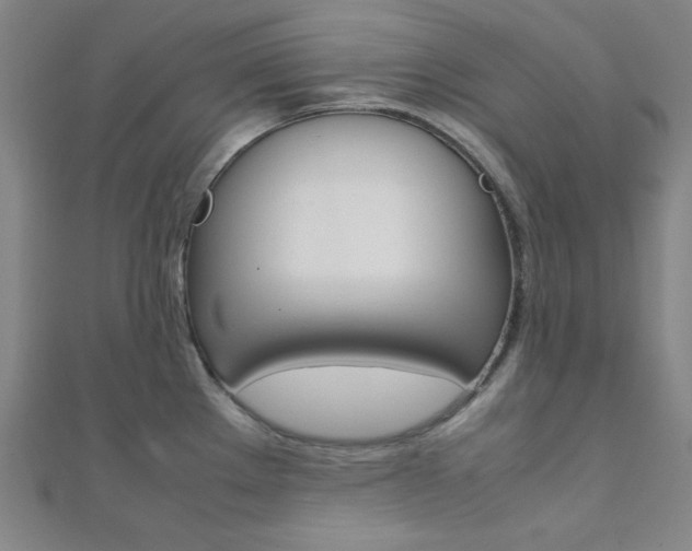 X0000112111289200908041144
