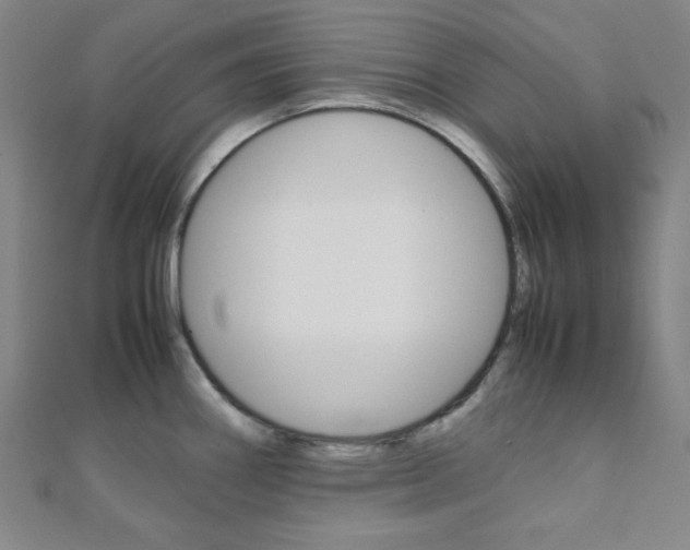 X0000112111290200908041144