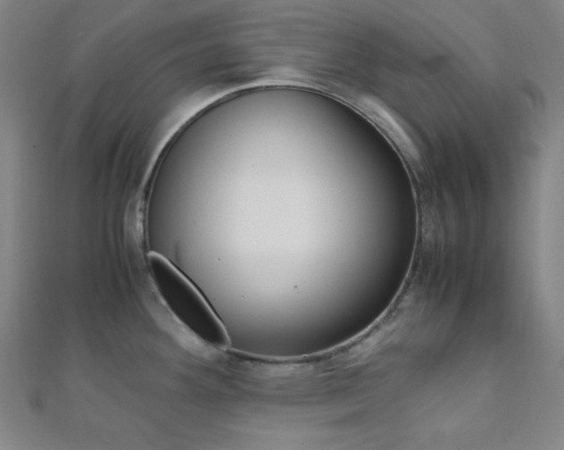 X0000112111292200908041144