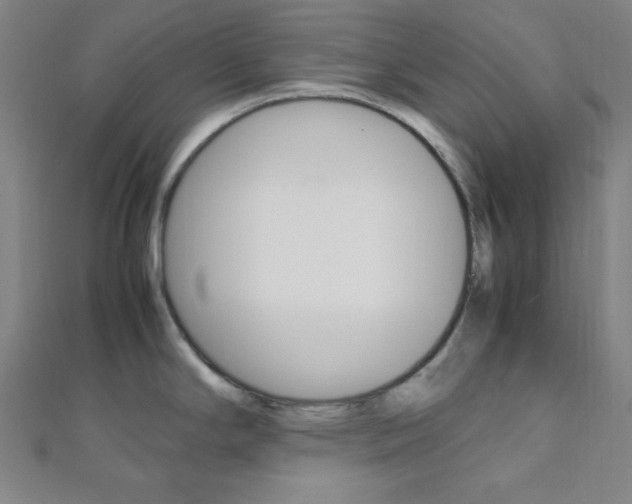 X0000112111294200908041143