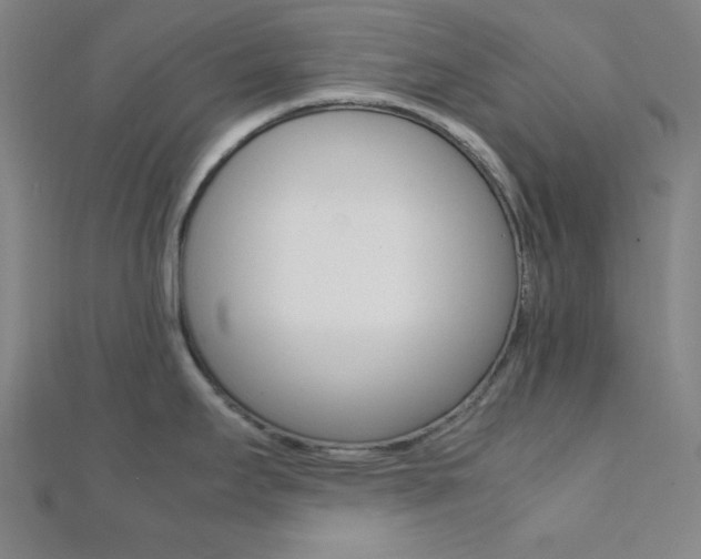X0000112111295200908041143