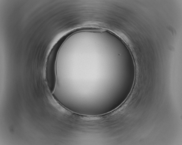 X0000112111296200908041143