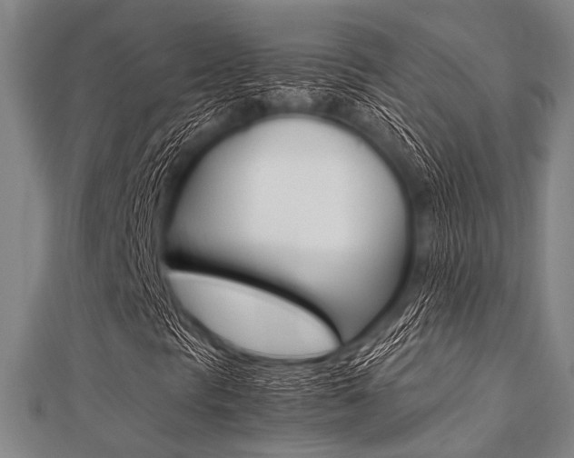 X0000112111297200908041143