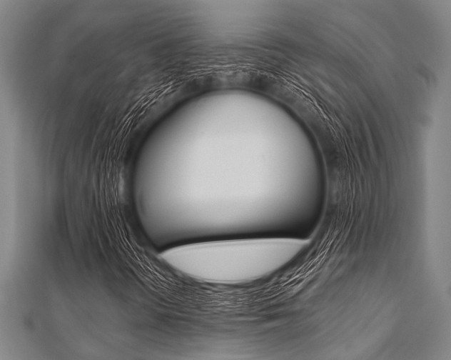 X0000112111298200908041143