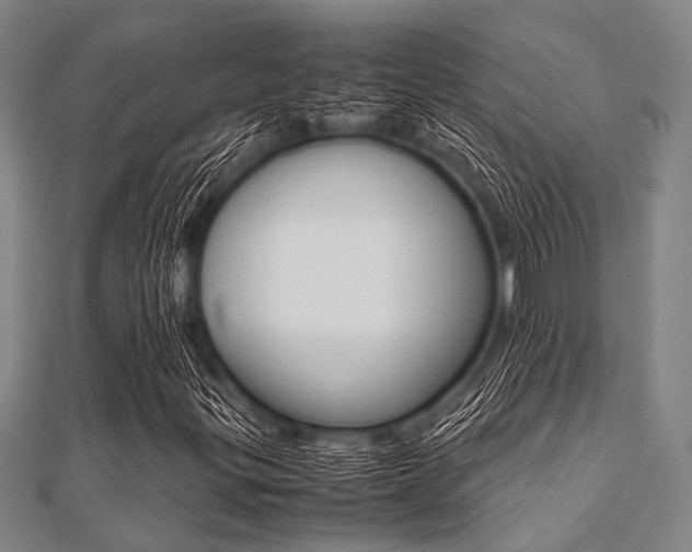 X0000112111299200908041143