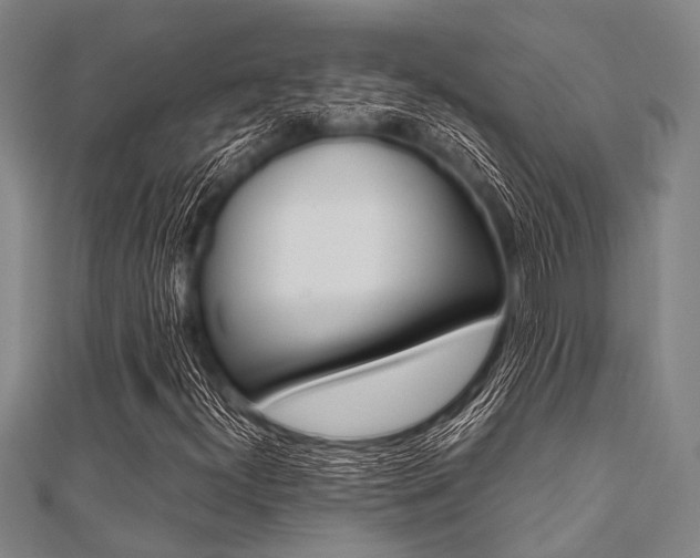 X0000112111300200908041143