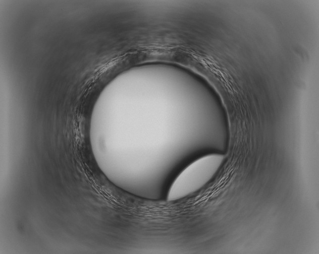 X0000112111301200908041143