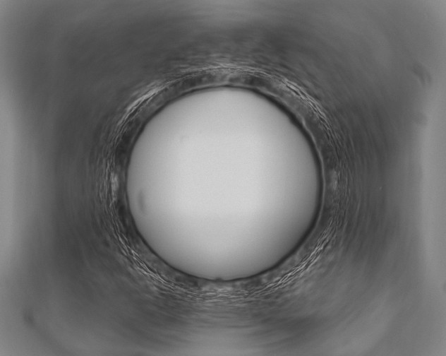 X0000112111302200908041143