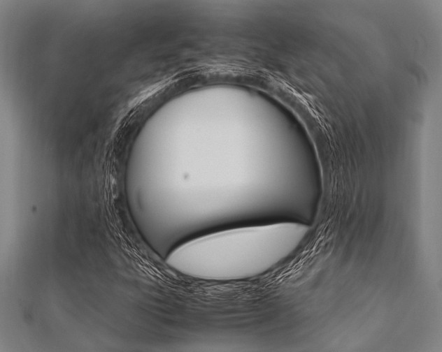 X0000112111303200908041143
