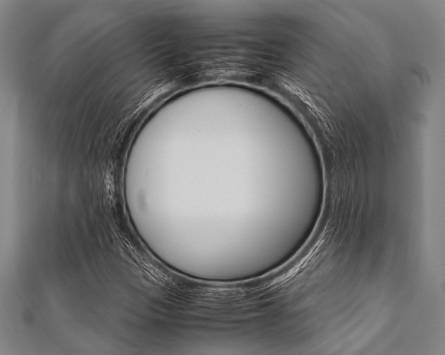 X0000112111305200908041143