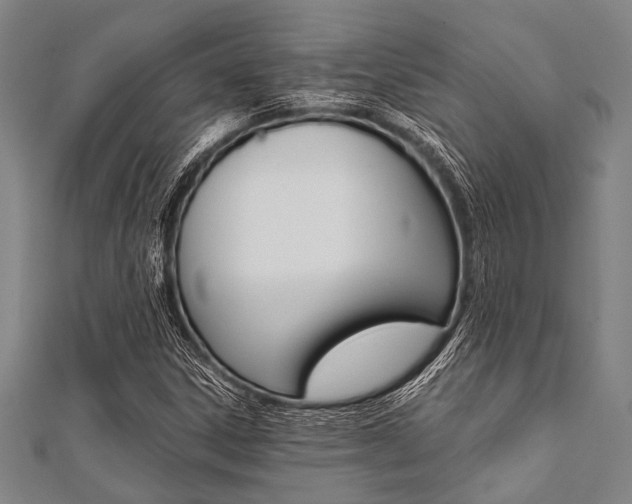 X0000112111306200908041143