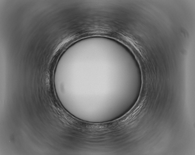 X0000112111307200908041143