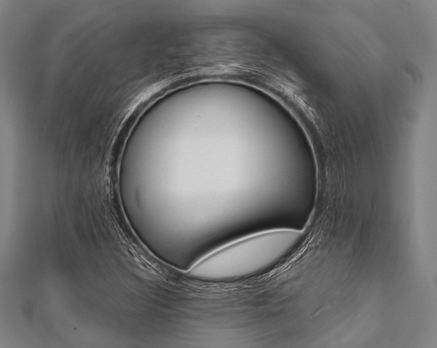 X0000112111308200908041143