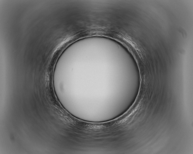 X0000112111309200908041143