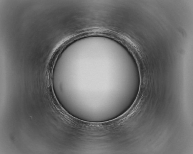 X0000112111310200908041143