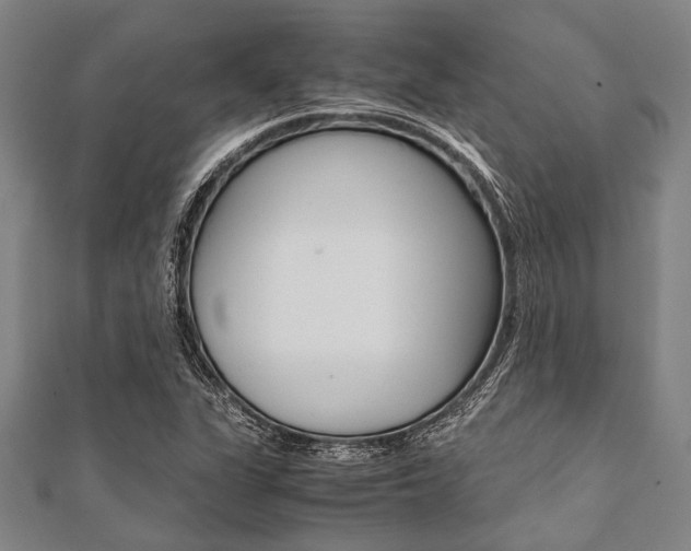 X0000112111311200908041143