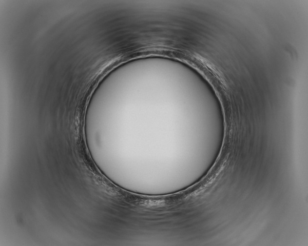 X0000112111313200908041143
