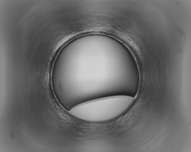 X0000112111316200908041143