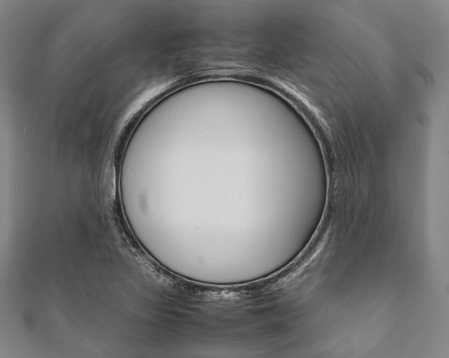 X0000112111317200908041143