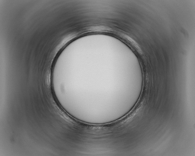 X0000112111322200908041143