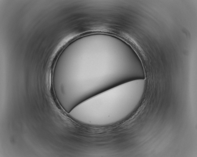 X0000112111323200908041143