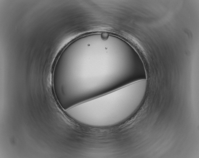 X0000112111324200908041143