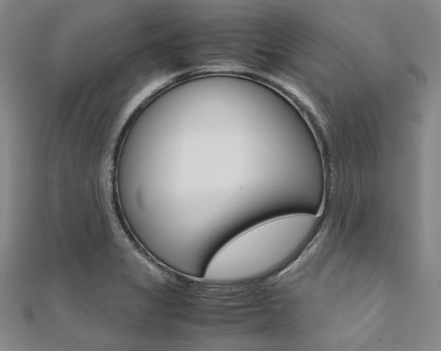X0000112111325200908041143