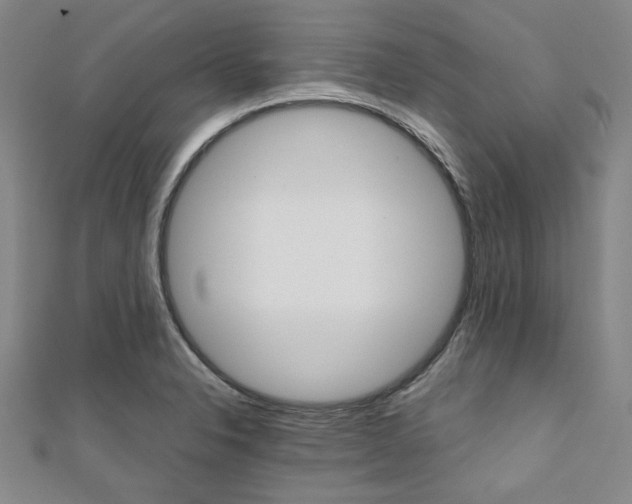 X0000112111326200908041143