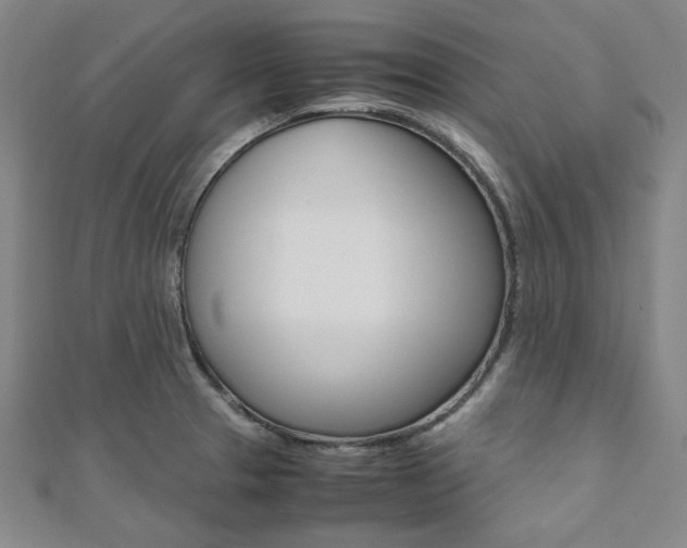 X0000112111329200908041143