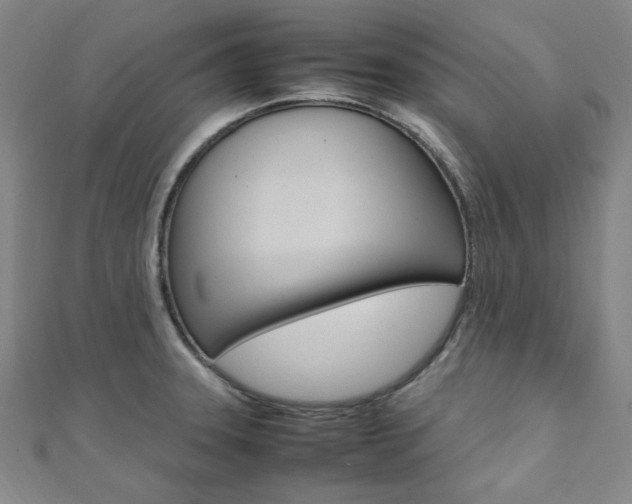 X0000112111331200908041143