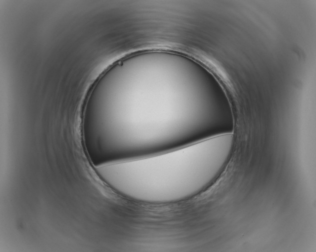 X0000112111332200908041143