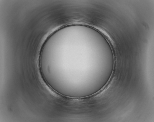 X0000112111333200908041143