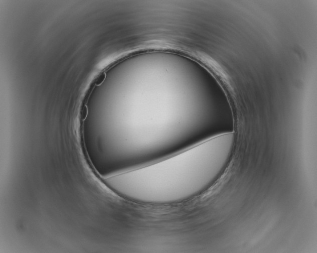 X0000112111334200908041143