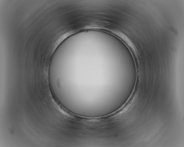 X0000112111337200908041143