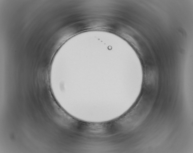 X0000112111338200908041143