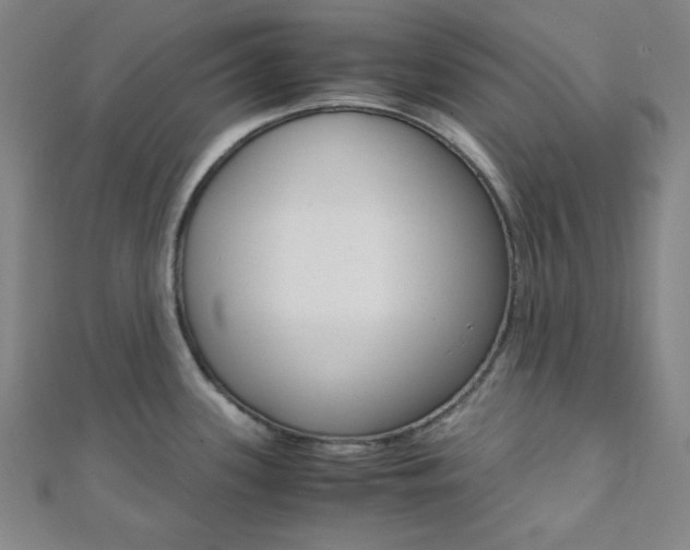 X0000112111339200908041143
