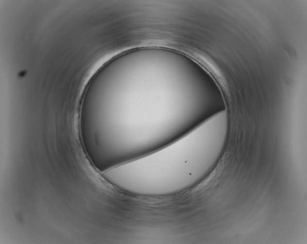 X0000112111340200908041143