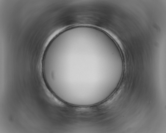 X0000112111341200908041143