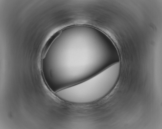 X0000112111342200908041143