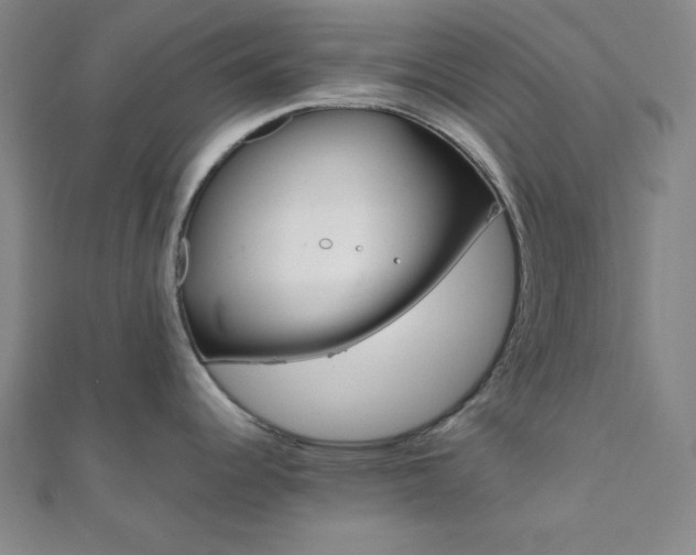 X0000112111344200908041143