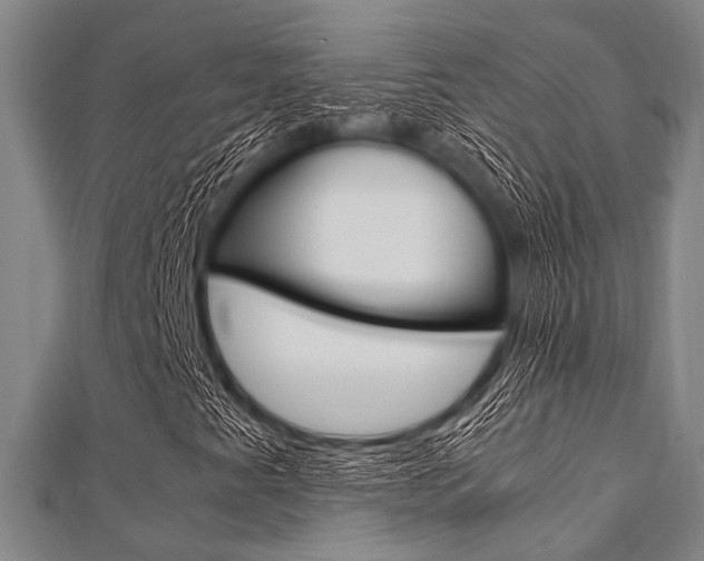 X0000112111345200908041143