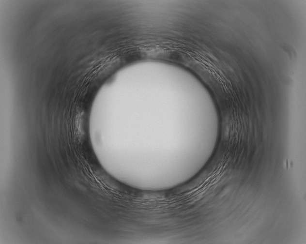 X0000112111346200908041143