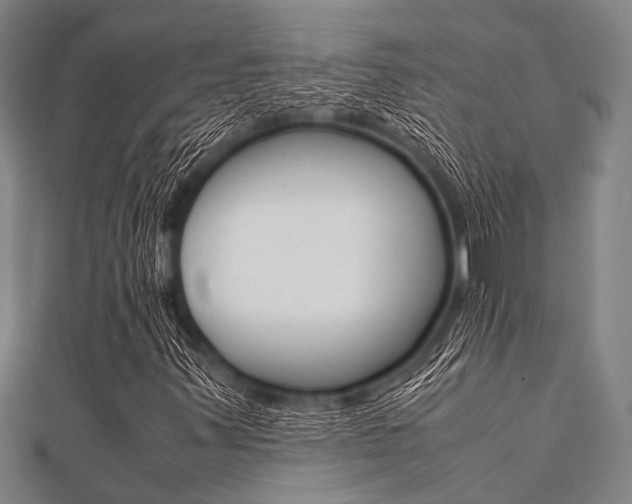 X0000112111347200908041143