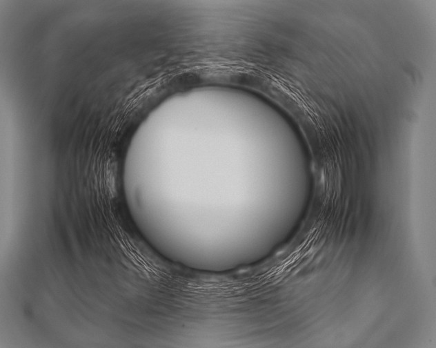 X0000112111348200908041143